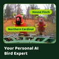 thumbnail image 4 of Birdfy Solar Powered Bird Feeder 2 Pro with AI Camera, 4 of 10