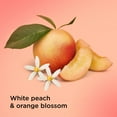 thumbnail image 3 of Caress Daily Silk Hydrating Body Wash, White Peach & Orange Blossom, 25.4 fl. oz., 2 pk., 3 of 7