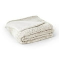 thumbnail image 3 of Member's Mark Luxury Faux Fur Throw 60" x 70", 3 of 5