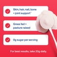 thumbnail image 5 of Vital Proteins Collagen Peptides Powder, Limited Edition Ice Pop, 26.3 oz., 5 of 7