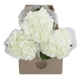thumbnail image 4 of Member's Mark Premium Hydrangea, White, 30 stems, 4 of 6