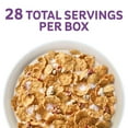 thumbnail image 4 of Special K Cereal, Fruit and Yogurt, 37 oz., 4 of 9