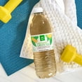 thumbnail image 5 of Member's Mark Zero Sugar Green Tea, 16.9 fl. oz., 35 pk., 5 of 5