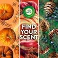thumbnail image 2 of Air Wick Essential Mist Air Freshener, Mixed Scent, 1 device + 3 refills, 2 of 7