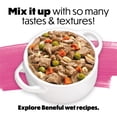 thumbnail image 9 of Purina Beneful Originals, Natural Salmon Dog Food, Dry Formula, 36 lbs., 9 of 12