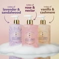 thumbnail image 5 of Safeguard Skin Zen Hand Wash, Variety Pack, 16 oz., 3 pk., 5 of 9