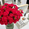 thumbnail image 5 of Member's Mark Mini Carnations, Choose color and stem count, 5 of 6