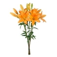 thumbnail image 7 of Member's Mark LA Hybrid Lilies, choose color and stem count, 7 of 8