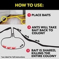 thumbnail image 8 of Raid Ant & Roach 17.5 oz Aerosol, 2pk with 8-Count Bait Mixed Pack, 8 of 10