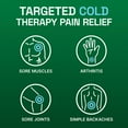 thumbnail image 3 of Biofreeze Large Menthol Pain Patch, 15 ct., 3 of 7