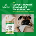 thumbnail image 5 of NaturVet, No Scoot with Pumpkin, Soft Chews for Dogs, 120 ct., 5 of 9