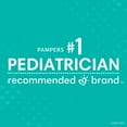 thumbnail image 5 of Pampers Swaddlers Diapers (Choose Your Size), 5 of 11