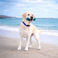 thumbnail image 7 of Power Chew Love Our Oceans, Dog Chew Toy, 3 pk., 7 of 8