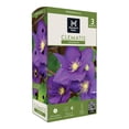 thumbnail image 1 of Member's Mark Clematis Jackmanii Dormant Bulbs, 3pk, 1 of 9