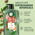 thumbnail image 2 of Herbal Essences Argan Oil & Green Tea Shampoo, 33.8 fl. oz., 2 of 10