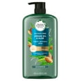 thumbnail image 1 of Herbal Essences Argan Oil & Aloe Shampoo, 29.2 fl. oz., 1 of 8