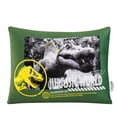 thumbnail image 5 of Kids Licensed 2-Pack Cloud Plush Pillow Set, 20" x 26", 5 of 7