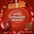 thumbnail image 6 of Air Wick Plug In Scented Oil Air Freshener, Apple Cinnamon Medley, 1 Warmer + 6 Refills, 6 of 10