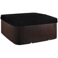 thumbnail image 3 of Lifesmart LS600DX 7-Person 65-Jet 230v Spa with 14-Jet Nozzle Turbo Blaster, 3 of 8