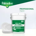 thumbnail image 2 of Palmolive Professional Dishwashing Liquid, Original Scent 5 gallon, 2 of 7