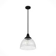 thumbnail image 8 of Hunter Cypress Grove with Clear Holophane Glass 1 Light Pendant Ceiling Light Fixture, 8 of 8