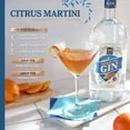 thumbnail image 4 of Member's Mark London Dry Gin, 1.75 L, 4 of 4