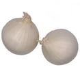thumbnail image 3 of Peri & Sons Farms White Onions 5 lbs., 3 of 5