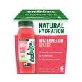 thumbnail image 1 of Evolution Fresh Cold Pressed Watermelon Water, 11 fl. oz., 6 pk., 1 of 14