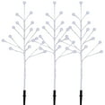 thumbnail image 3 of Member's Mark Pre-Lit Blossom Pathway Lights, Set of 3, 3 of 7