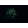 thumbnail image 2 of Moet & Chandon Nectar Imperial Champagne 750 ml, 2 of 5