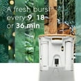 thumbnail image 4 of Glade Automatic Spray Holiday Variety Pack Air Freshener, Multiple, 1 Device + 3 Refills, 4 of 4