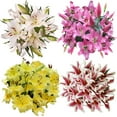 thumbnail image 1 of Member's Mark Oriental Trumpet Lilies, Choose color and stem count, 1 of 1