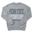 thumbnail image 5 of Champion NCAA Grey Crewneck Sweatshirt, 5 of 6