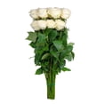 thumbnail image 6 of Member's Mark Ecuadorian Premium Roses, choose color variety and stem count, 6 of 7
