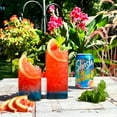 thumbnail image 16 of Shasta Soda Variety Pack 12 fl. oz., 24 pk., 16 of 17