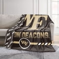 thumbnail image 2 of Logo Brands Wake Forest Demon Deacons 60"x70" Super Plush Blanket, 2 of 7