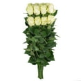 thumbnail image 4 of Member's Mark Ecuadorian Premium Roses, choose color variety and stem count, 4 of 7