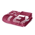 thumbnail image 4 of Logo Brands Texas A&M Aggies 60"x70" Super Plush Blanket, 4 of 7