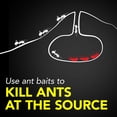 thumbnail image 7 of Raid Ant & Roach 17.5 oz Aerosol, 2pk with 8-Count Bait Mixed Pack, 7 of 10
