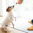 thumbnail image 7 of Arm & Hammer, Chicken Flavored Nubbies Dental Treats for Dogs, 139 ct., 7 of 10