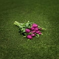 thumbnail image 3 of Member's Mark Tulips, 50 stems, 3 of 3