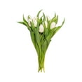 thumbnail image 2 of Member's Mark Tulips, 50 stems, 2 of 3