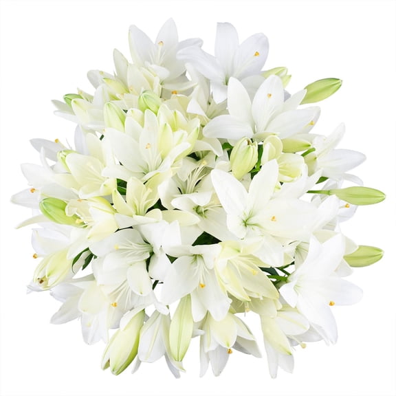 Member's Mark LA Hybrid Lilies, choose color and stem count