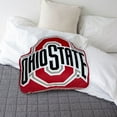 thumbnail image 2 of Logo Brands Ohio State Buckeyes XL Puff Pillow, 2 of 5