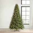 thumbnail image 1 of Member's Mark 9' Augusta Pine Pre-Lit Christmas Tree, 1 of 9