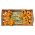 thumbnail image 6 of Member's Mark Sunflowers, choose quantity, 6 of 6