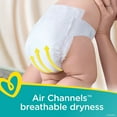 thumbnail image 7 of Pampers Swaddlers Diapers (Choose Your Size), 7 of 8