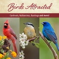 thumbnail image 6 of Member's Mark Ultra Premium Nut & Fruit Blend Birdseed, 20 lbs., 6 of 6