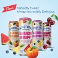 thumbnail image 4 of Seagram's Escapes Ready To Drink Variety Pack, 12 fl. oz. can, 24 pk., 4 of 4