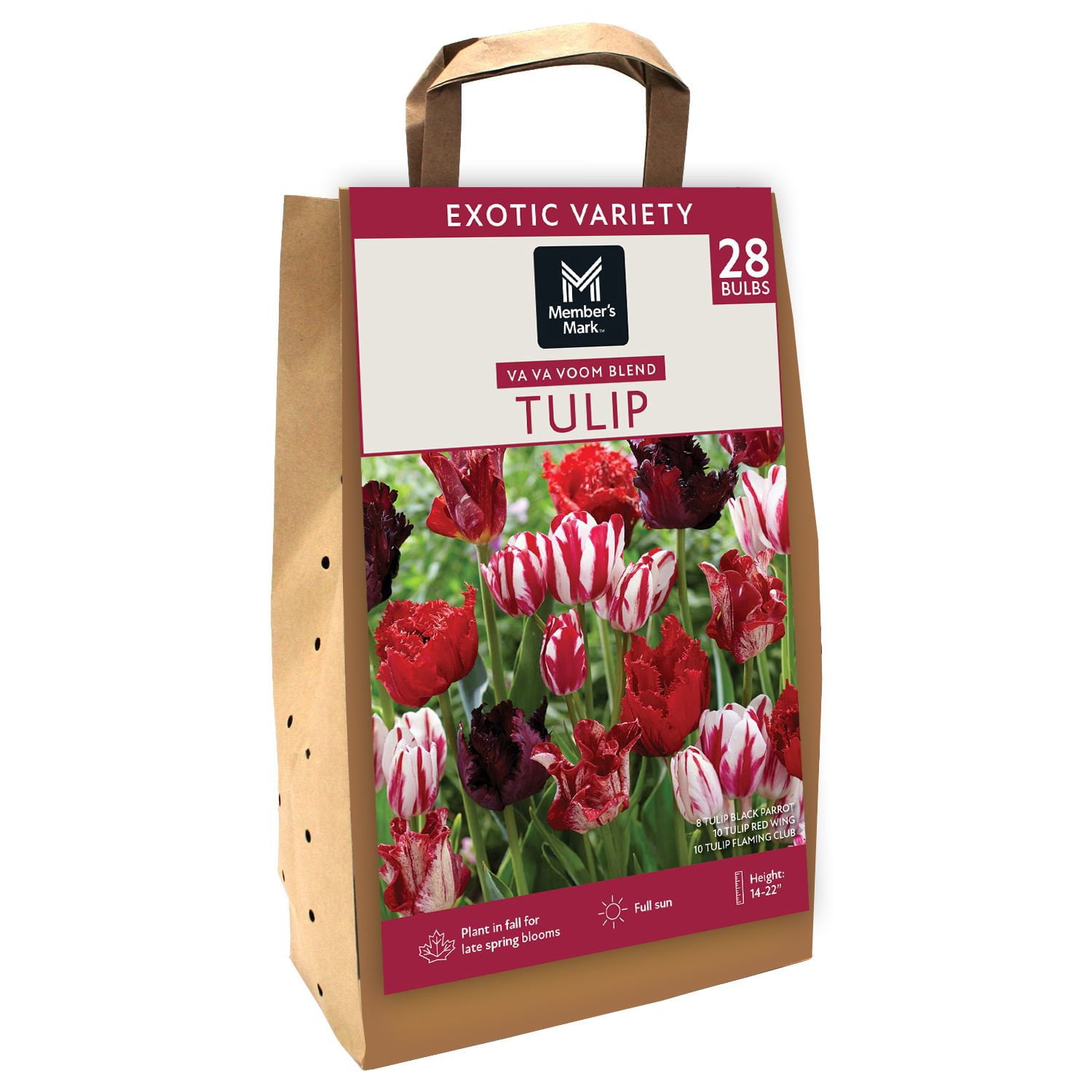 allium様　珍雪　セラム　1ml×30枚　2セット Member's Mark Allium Collection Dormant Bulbs, 42pk - Samsclub.com